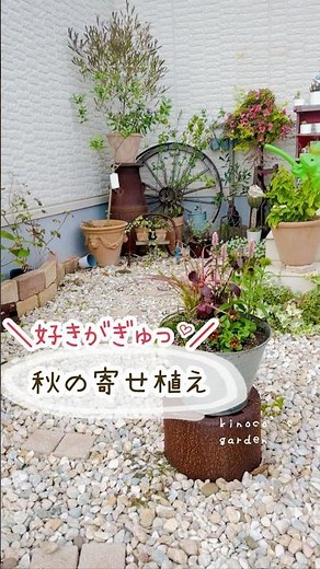 秋の寄せ植え2025