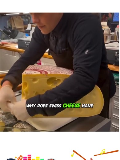 Understanding Why Cheese Has Holes