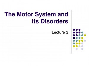 PPT - The Motor System and Its Disorders PowerPoint Presentation, free download - ID:268906