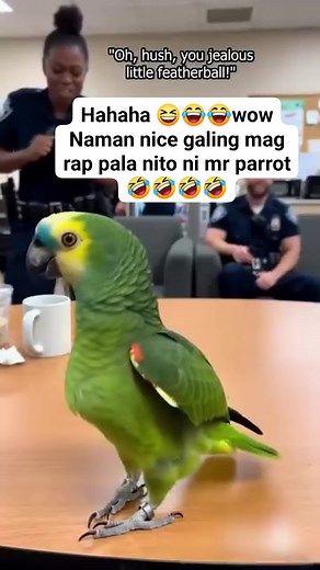 Nice rapper mr parrot 🤣🤣🤣🤣 Verry naughty haha😂😂 #followersreelsfypシ゚viralシfypシ゚viralシ #funnyreelsvideo #highlights2025 #everyoneシ゚ #share #support #followers #rollydejuanjr | Rolly De Juan Jr.