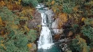 3.3K views · 57 reactions | Named after its resemblance to takayan or...