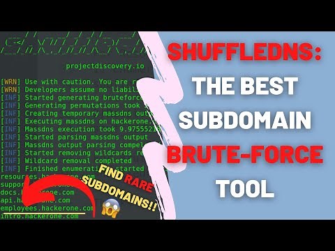 How to Install and Use ShuffleDNS To Brute Force Subdomains