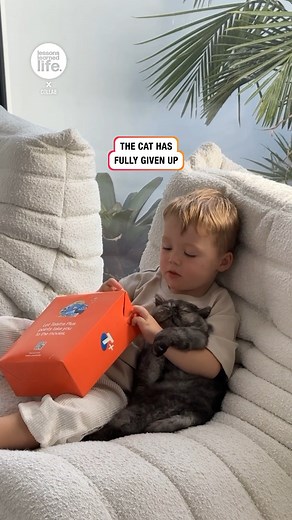 3.7M views · 85K reactions | Cat Has Accepted Their Fate  | Lessons Learned In Life | Facebook