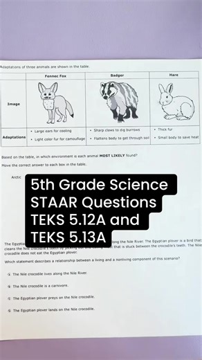 Let’s cover some 5th grade science questions | science