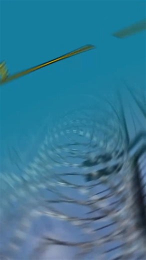 Blade barbed wire manufacturer, barbed wire roller cage, snake-bellied barbed wire, barbed protective net, special protective barbed wire for prison, heightening net # Source strength manufacturer # Factory real video # Juke blade barbed wire # Entity manufacturer # Blade barbed wire price | Wire Mesh, Fences & Barriers Global Supplier