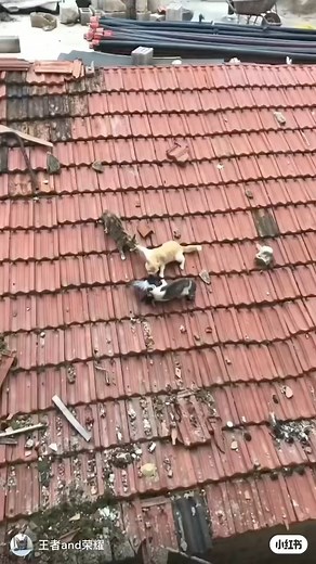 =)))))) | Study With Me