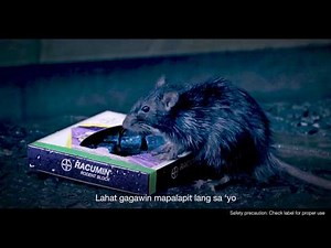 Racumin Rodent Block Video: Basang Basa
