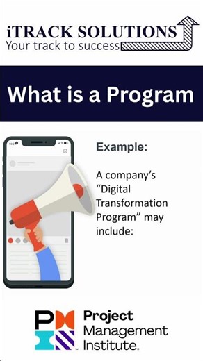 What is #program as per #pmi #pmbok ?