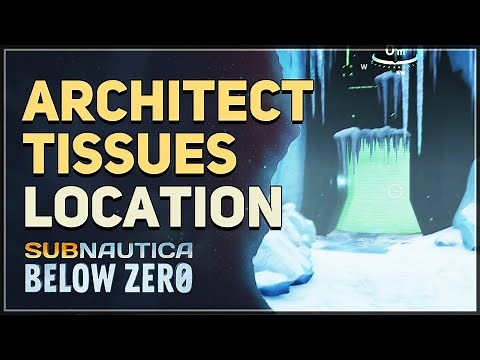 Architect Tissues Location Subnautica Below Zero