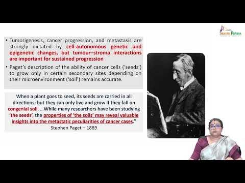 Lec 02 Tumour Microenvironment