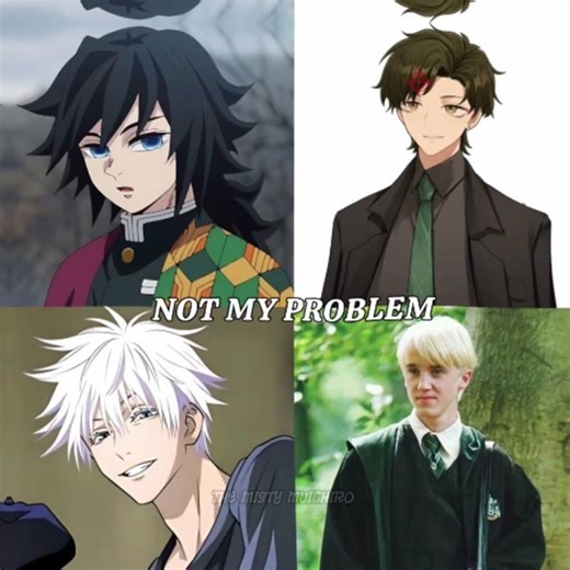 Not my problem 😏#demonslayer #spyxfamily #jujutsukaisen #harrypotter #anime #tseries