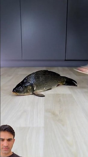 High Heels vs Fish 🐟👠 |Crunchy & Soft Things Crushing ASMR Clean press,oddly satisfying sounds 😱✨