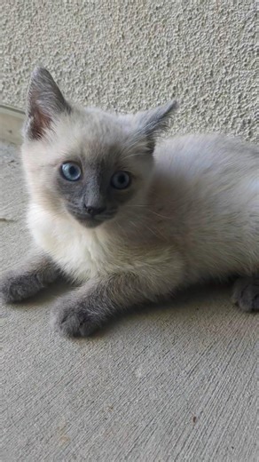 Say "no" to this face (you can't)