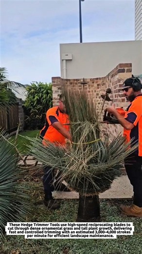 Hedge Trimmer Tools Cut Tall Ornamental Grass Fast with 3,000–4,000 SPM Reciprocating Blades