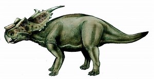 Achelousaurus - Alchetron, The Free Social Encyclopedia