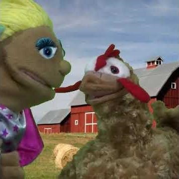Never Interrupt A Rooster #shorts