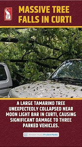 Tree Collapse in Curti! 3 Vehicles Damaged A large tamarind tree collapsed near Moon Light Bar in Curti, causing damage to three parked vehicles. The incident occurred suddenly, startling locals and passersby. #CurtiNews #TreeCollapse #GoaUpdates #ViralNews #NatureAlert #LocalBuzz #MoonLightBar #TamarindTreeFall #GoaViral | Prudent Media