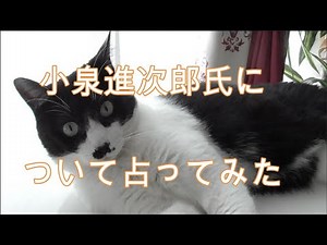 小泉進次郎氏について占ってみた