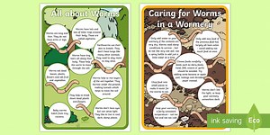 Worms and Wormery Care Display Facts Posters