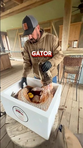 🐊How To Cook A Gator Speed Run