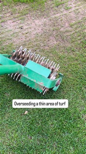 7.4K views · 690 reactions | Using the @tacitgolf seed slotter to overseed some thin areas of turf ⚙️  Great results!  @hurrells_seeds CR1 #seed #sport #ground #maintenance #transformation | Heaven on Turf | Facebook