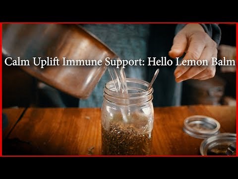 Calm Uplift Immune Support: How to Make a Potent Lemon Balm Infusion