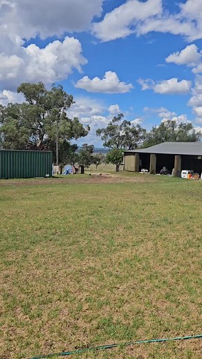 11K views · 28 reactions | She loves the muddy puddles!! | Craiglea Rural - Working Dogs, Horses & Livestock | Facebook