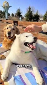 Simple Joy in Running Together: Today's International Day of Happiness