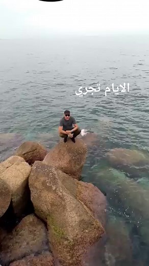 8K reactions · 957 shares | Adel Adel on Reels | Facebook