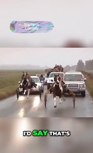 7.3K views · 16 reactions | Horse back riding law- re you breaking the law Part 9 | Paul Osagie | Facebook