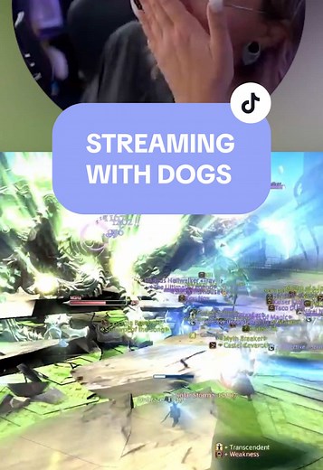 Streaming with Dogs: The Fun of Gaming Together