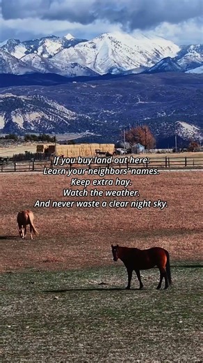 A Landowner's Letter From 7 Horses Ranch #coloradoranch #horseproperty