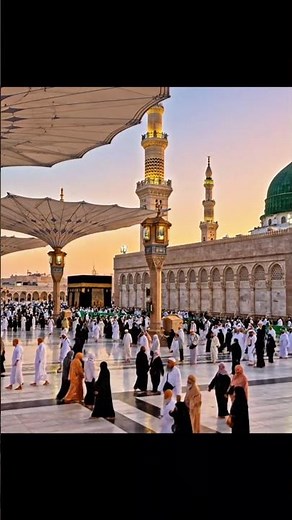 Inside the Islamic Golden Age (When Science Flourished)