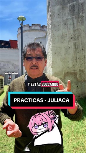 Prácticas profesionales en Juliaca con Honórem