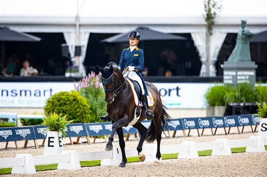 CDIO Juniors unior Freestyle to Music - CDIO 4* - FEI Dressage Nations Cup™ 2025 - Lier - 2025 | Videos, Live Streams, Films and Shows | ClipMyHorse.TV