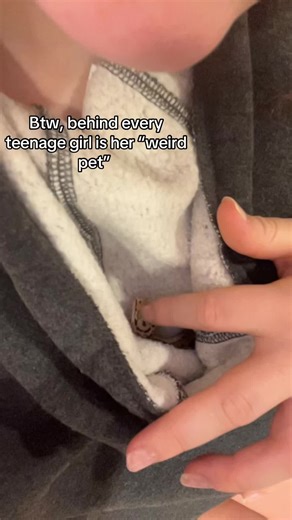 My baby#reptiles #gecko #foryoupage #trendy #blowthisuptiktok | Gecko