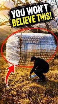 I Built a Hidden Bushcraft Shelter in the Forest #bushcraft