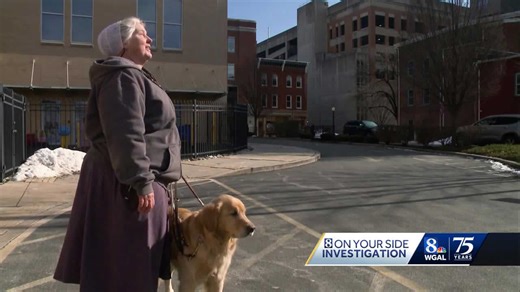 Woman says Lyft, Uber denied her rides because of service dog