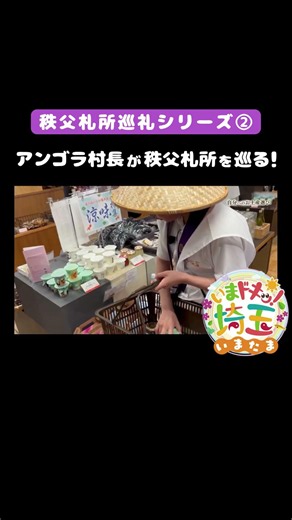 6月6日のいまたまは【#午歳総開帳 巡礼 第２弾】#アンゴラ村長#寺#秩父札所#スタンプラリー#レトロ#お土産#グルメ#旅#横瀬町#秩父市#埼玉県#埼玉#shorts