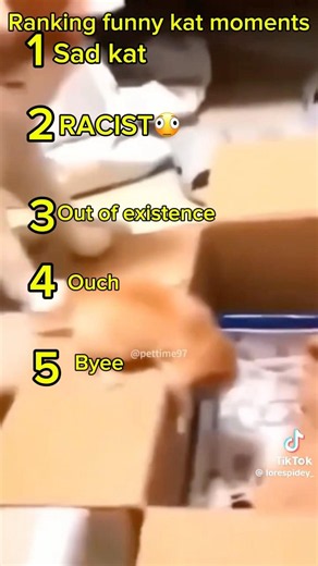 Ranking funny kat moments #fypシ #viral #viralvideo #funny