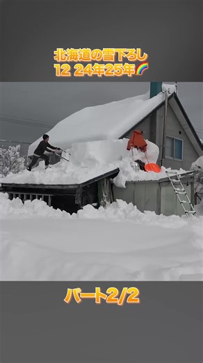 北海道の雪下ろし: 2024年の大雪対策