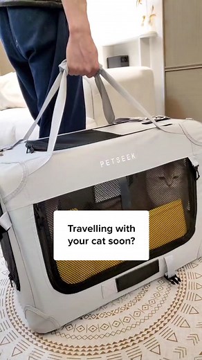 CuddlesMeow on TikTok