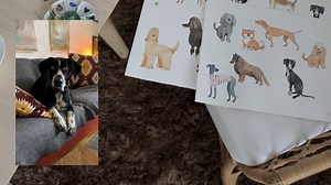 Pattern Stories – Taiga