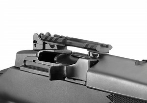 10 22 Datos De Ruger Tactical Rifle Price