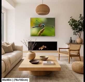 Blue Dasher Dragonfly Macro Nature Photography Wall Art - Etsy UK