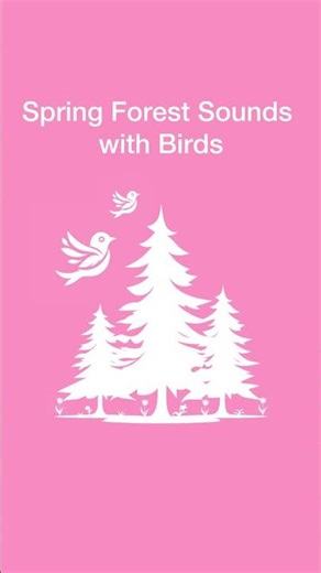 Spring forest sounds with birds