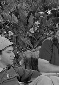 Gilligan's Island S01:E24 - The Return of Wrongway Feldman