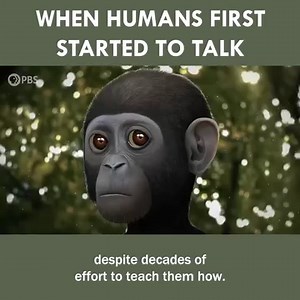 The Evolution of Our Ability to Speak 🗣️ | Eons • PBS