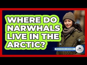 Where Do Narwhals Live in the Arctic?