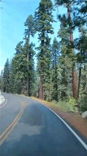 Yosemite National Park USA California